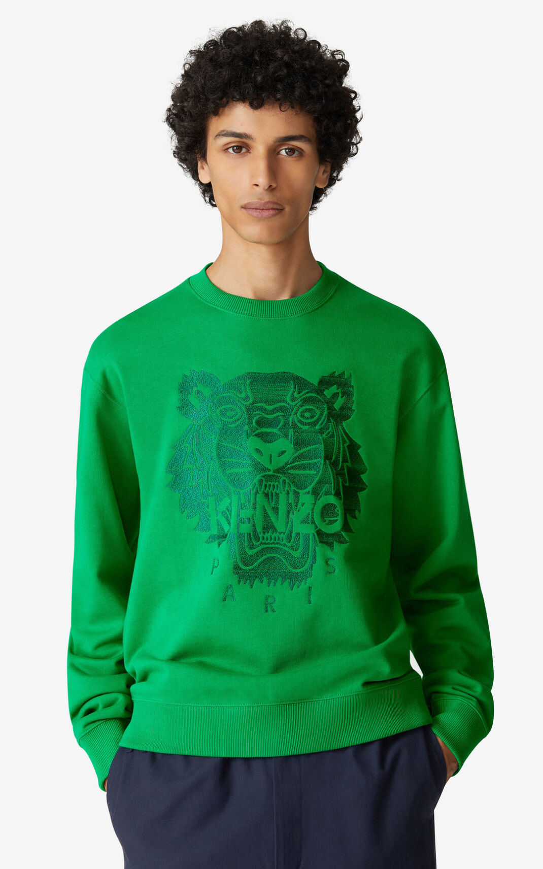 Kenzo Tiger Sweatshirt Erkek Yeşil | 5079-BEWCK